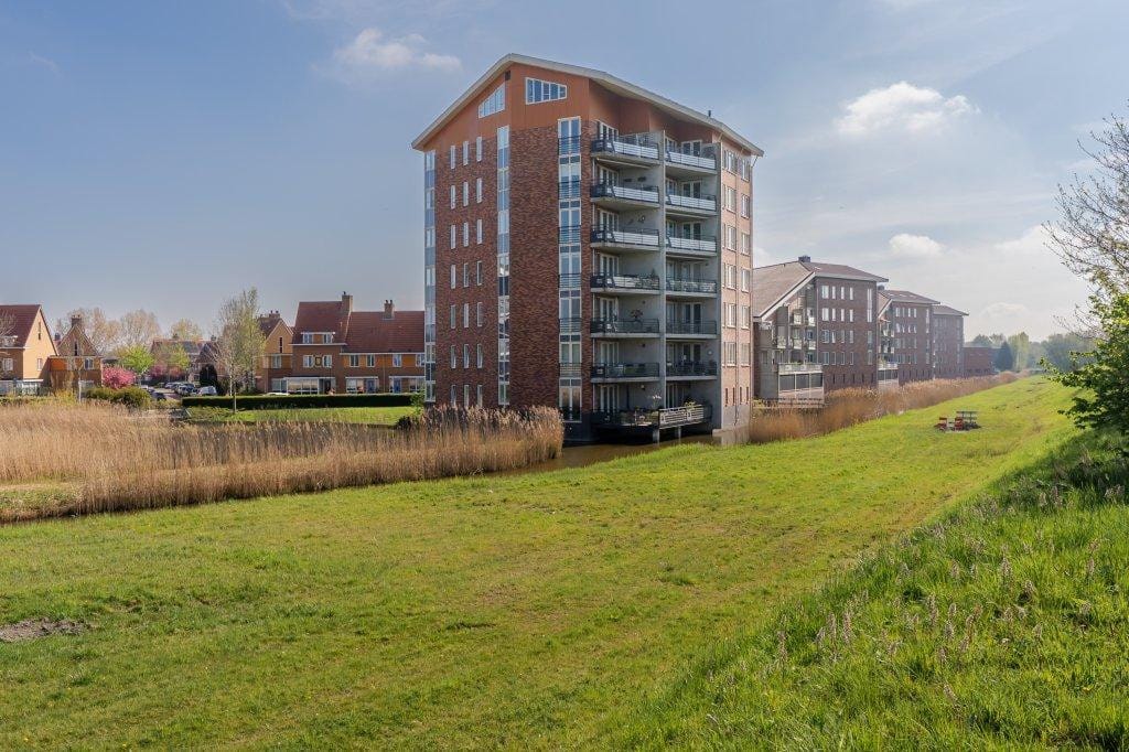 Photo 27 of Ringslang 125