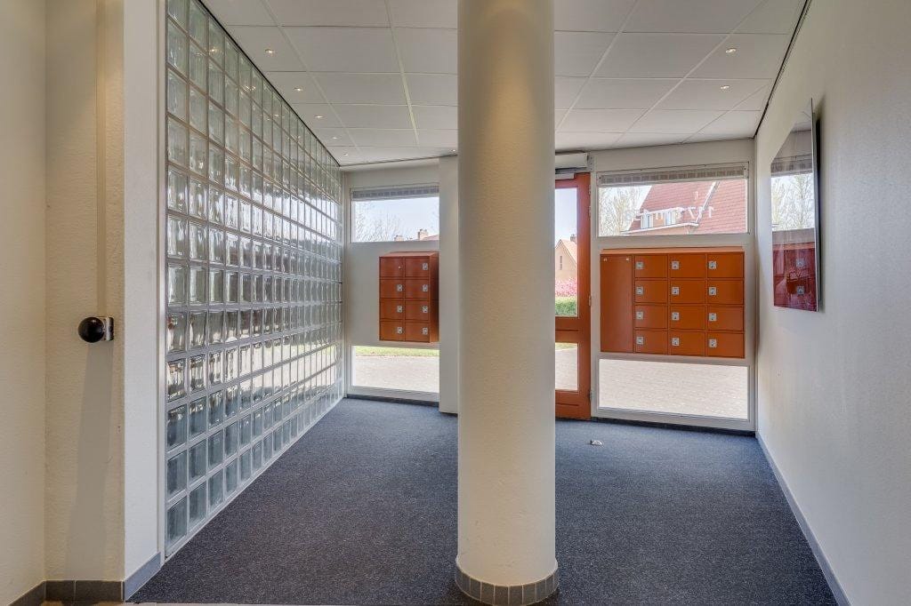 Photo 20 of Ringslang 125