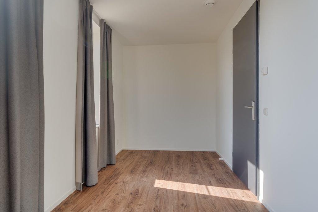 Photo 15 of Ringslang 125