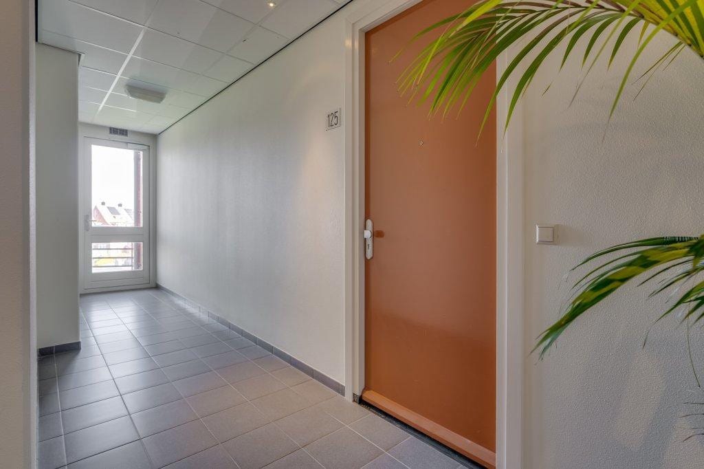 Photo 22 of Ringslang 125