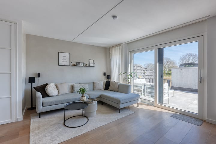 Foto 3 van Bromelia 4