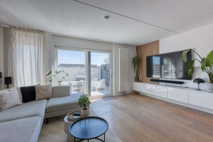 Foto 4 van Bromelia 4