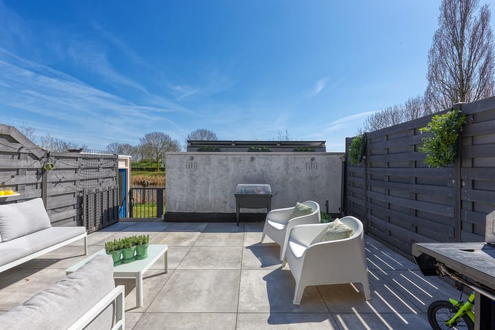 Foto 11 van Bromelia 4