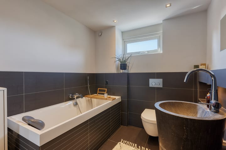 Foto 24 van Bromelia 4