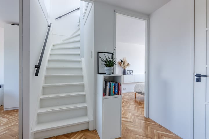 Foto 29 van Bromelia 4