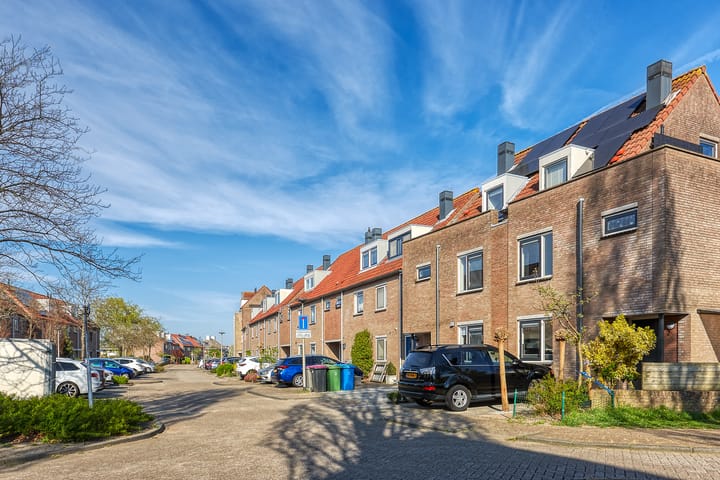 Foto 37 van Bromelia 4