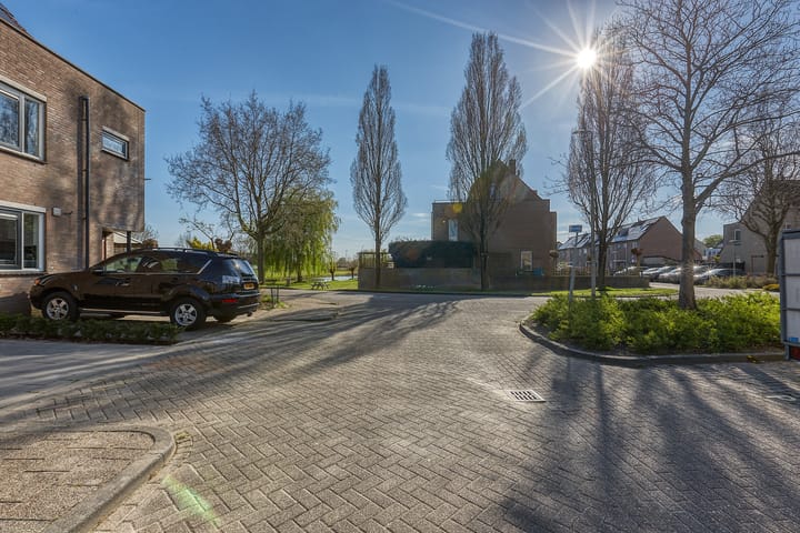 Foto 38 van Bromelia 4