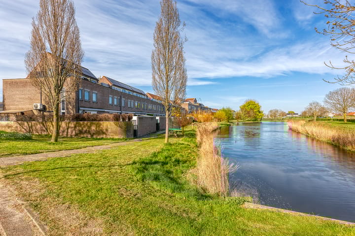 Foto 39 van Bromelia 4