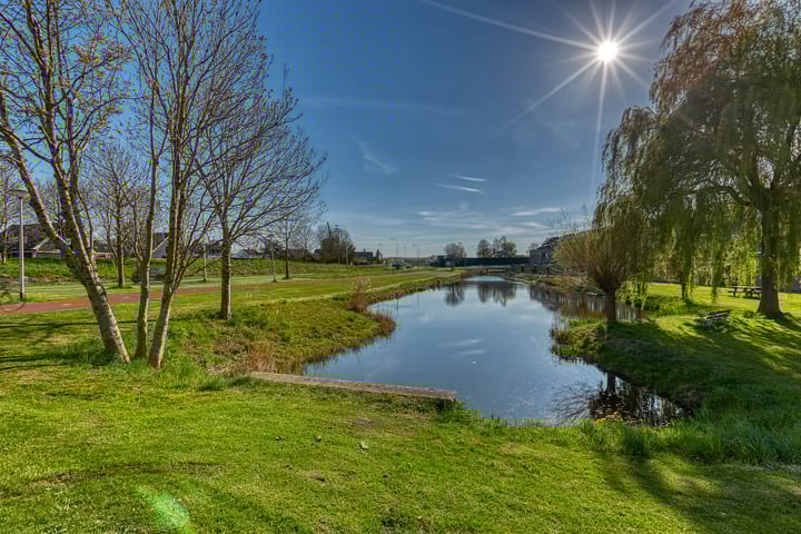 Foto 40 van Bromelia 4