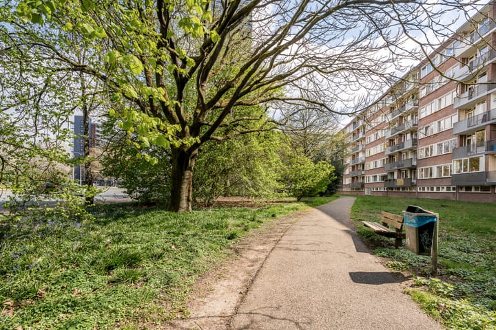 Foto 27 van Cederstraat 55