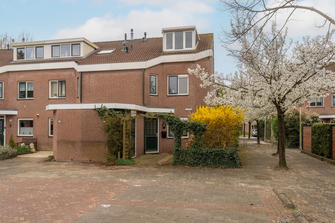 Foto 1 van Saturnus 41