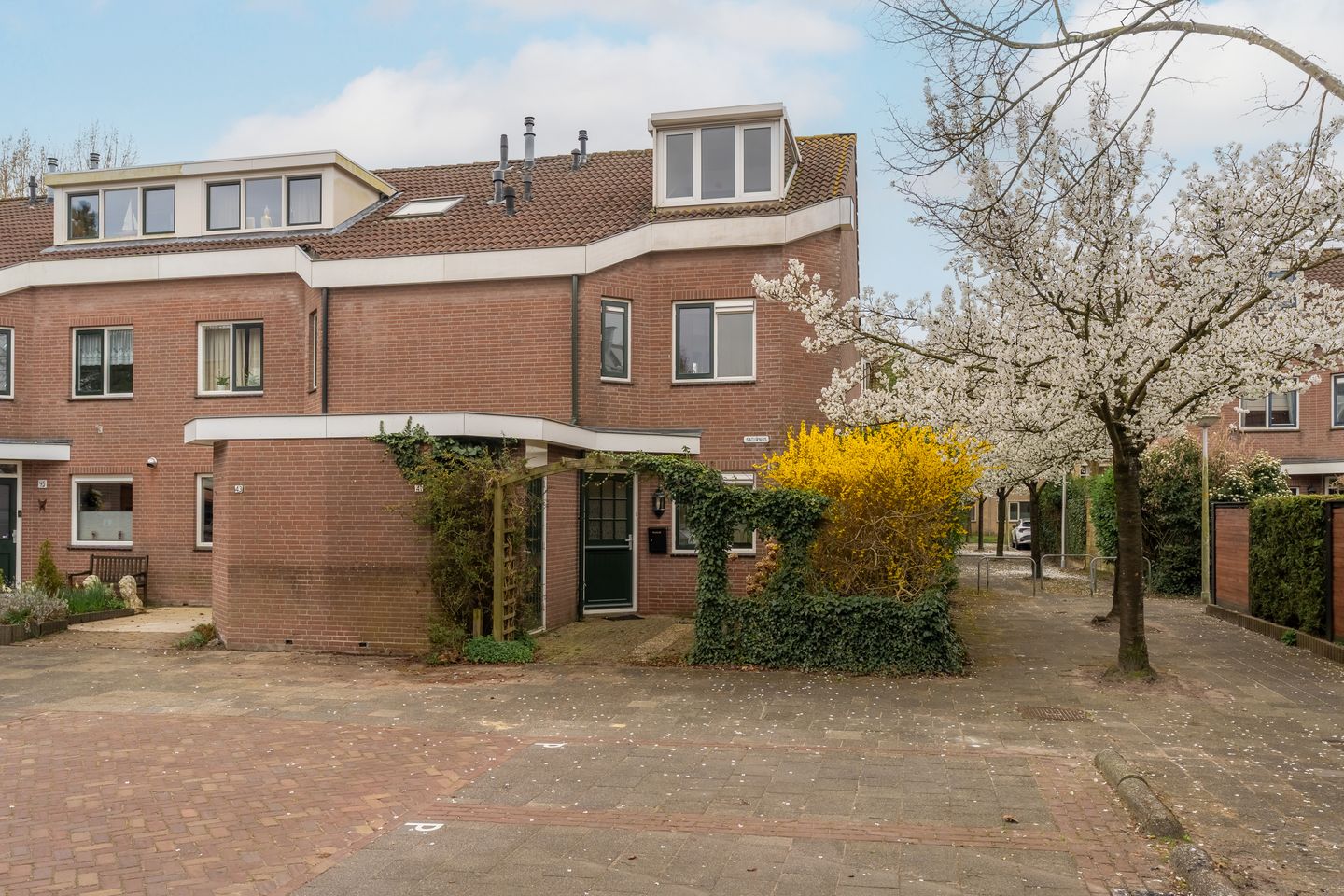 Photo 1 of Saturnus 41