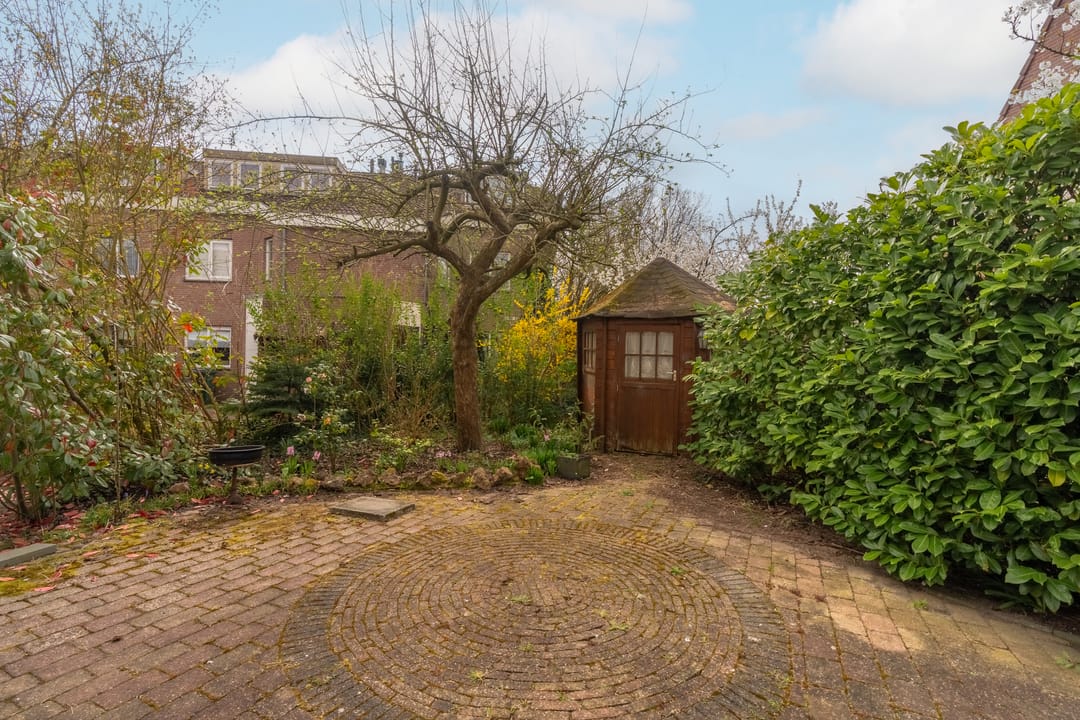 Foto 7 van Saturnus 41