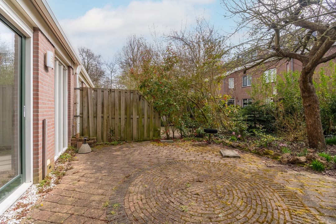 Foto 8 van Saturnus 41