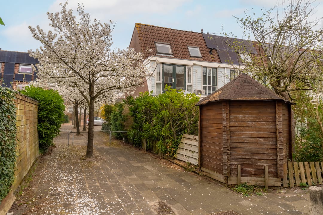 Foto 32 van Saturnus 41