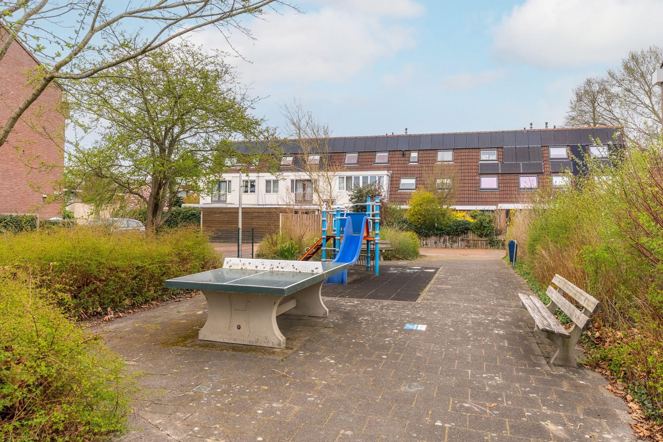 Foto 33 van Saturnus 41