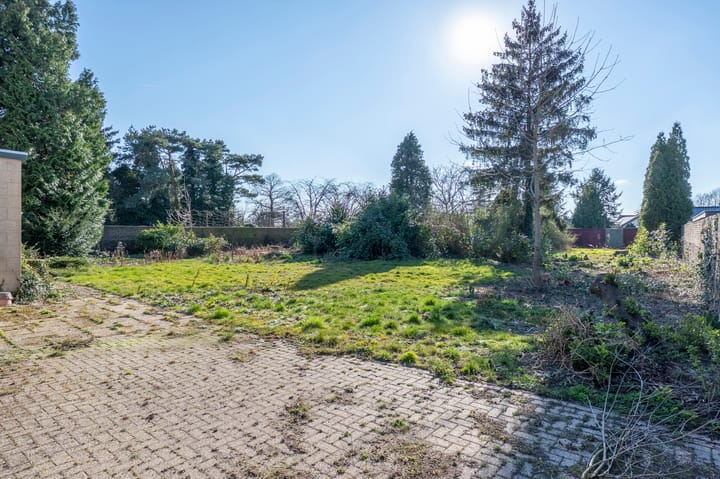 Foto 2 van Schettereind 6