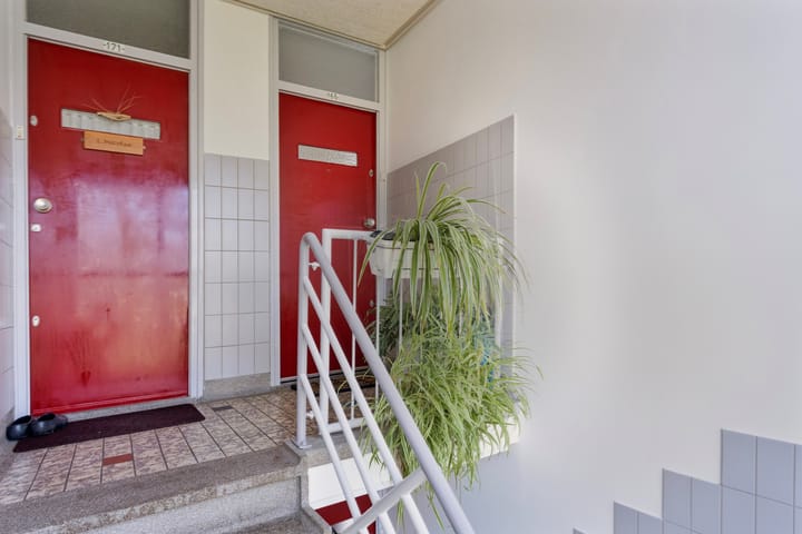 Foto 2 van Frans Halsplantsoen 165