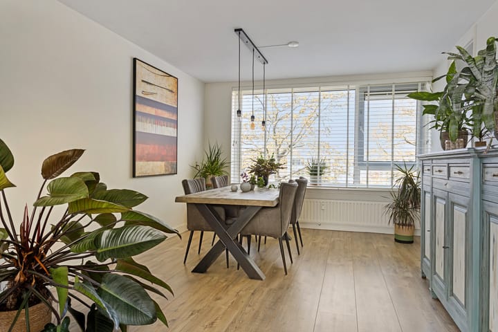 Foto 12 van Frans Halsplantsoen 165