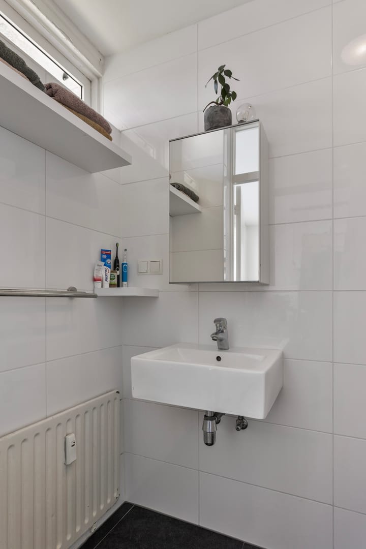 Foto 19 van Frans Halsplantsoen 165