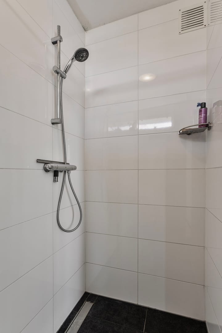 Foto 20 van Frans Halsplantsoen 165