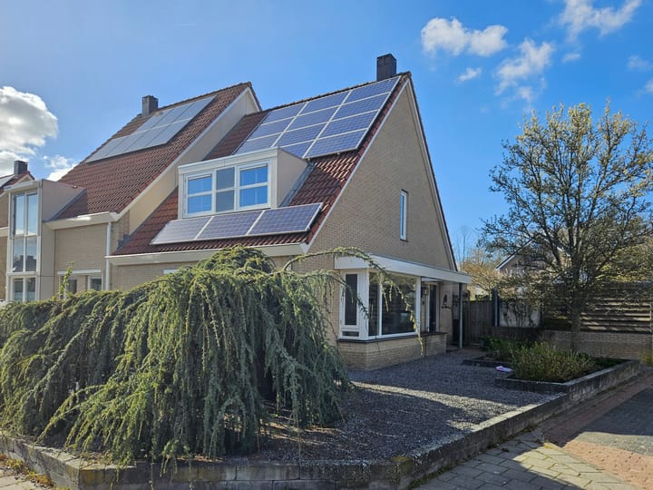 Foto 1 van Aambeeld 19