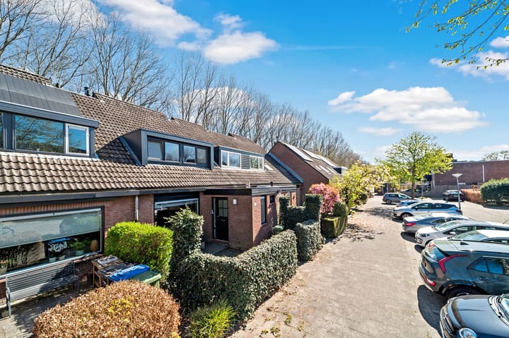 Foto 39 van Elsbes 43