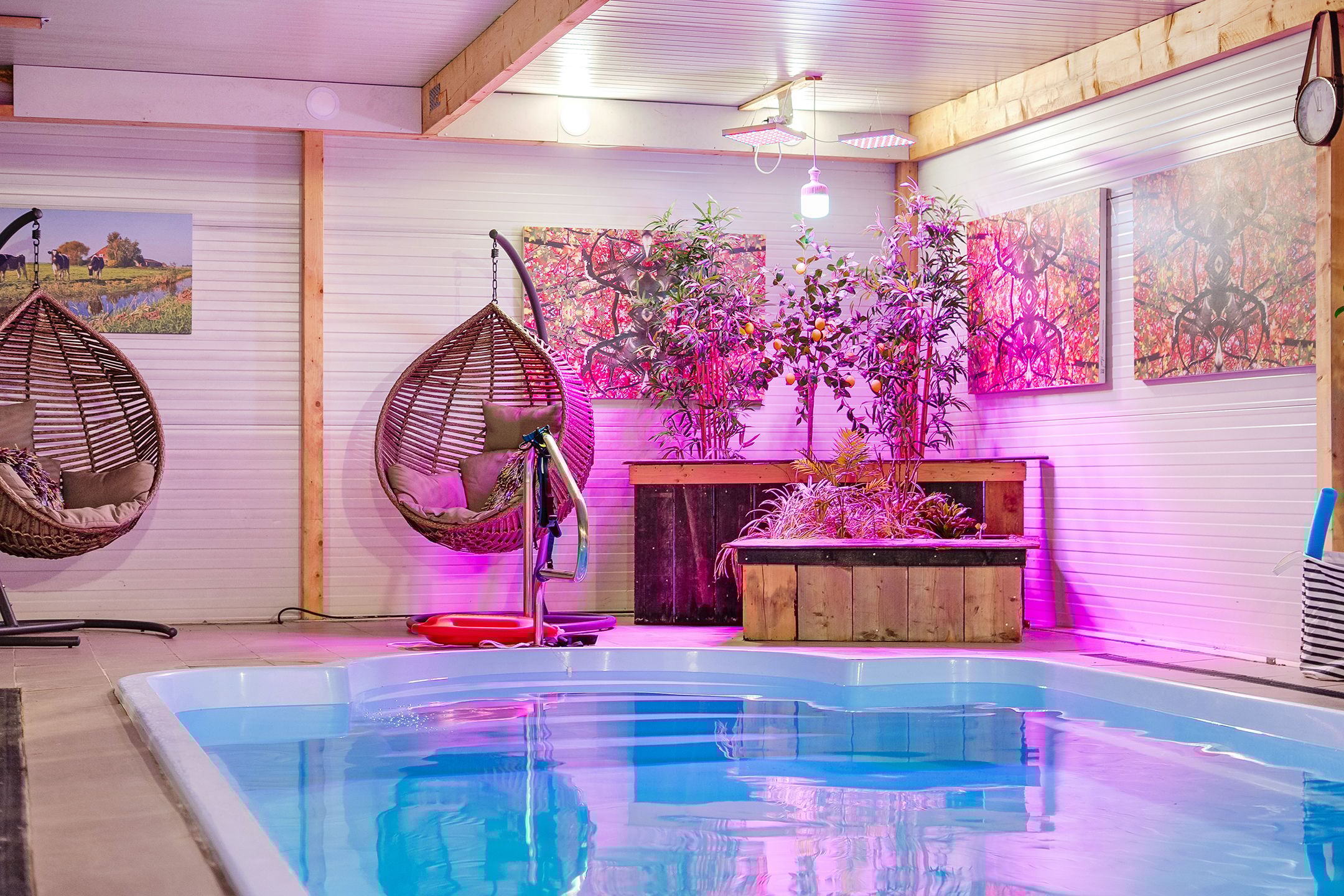 Photo 33 of Van der Pijlweg 5