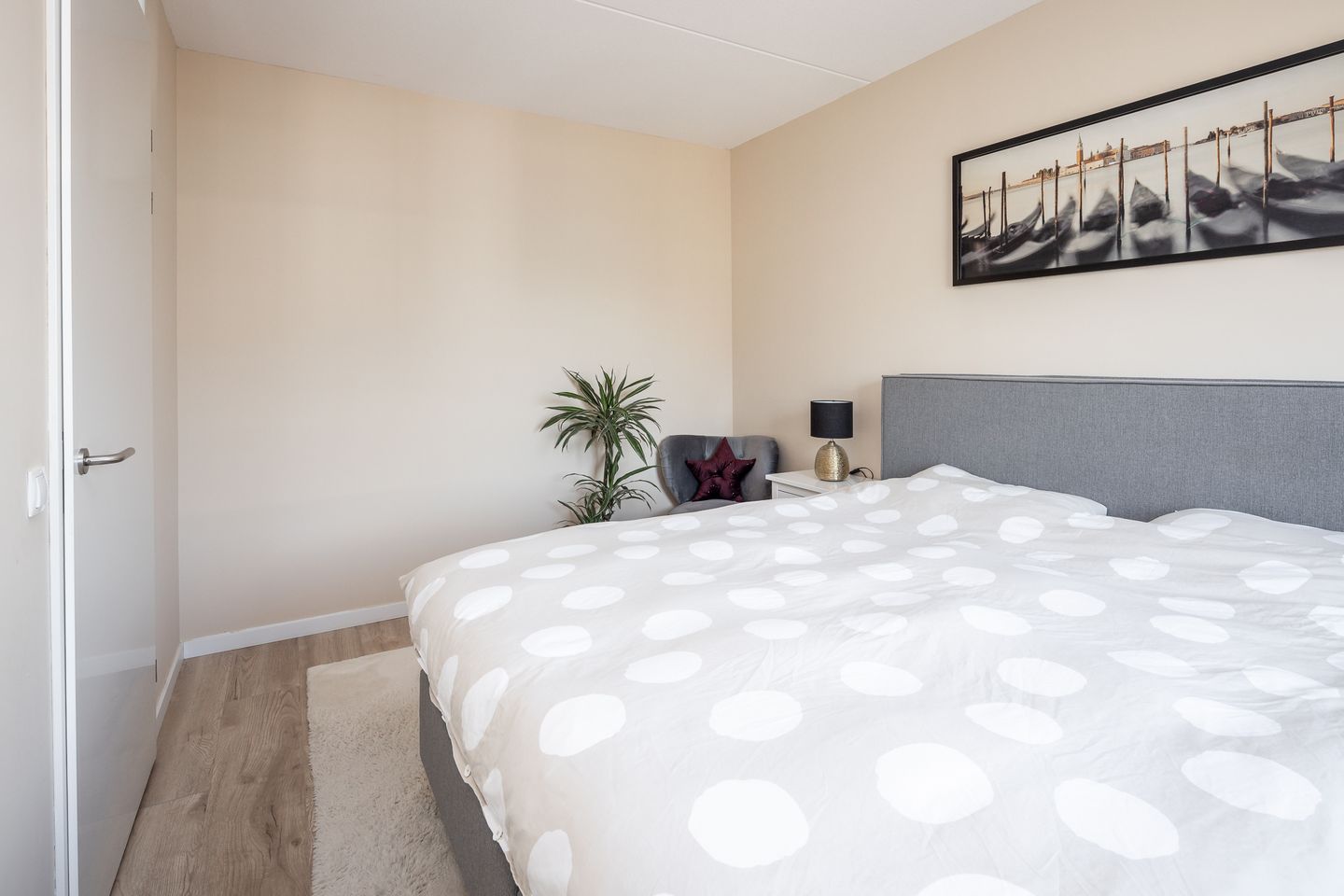 Foto 19 van Winterkoning 30