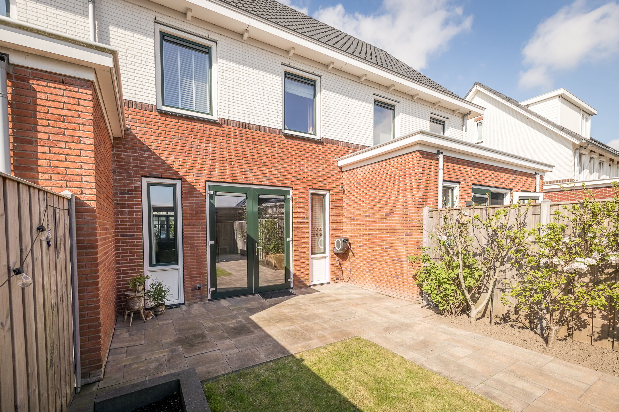 Foto 30 van Winterkoning 30