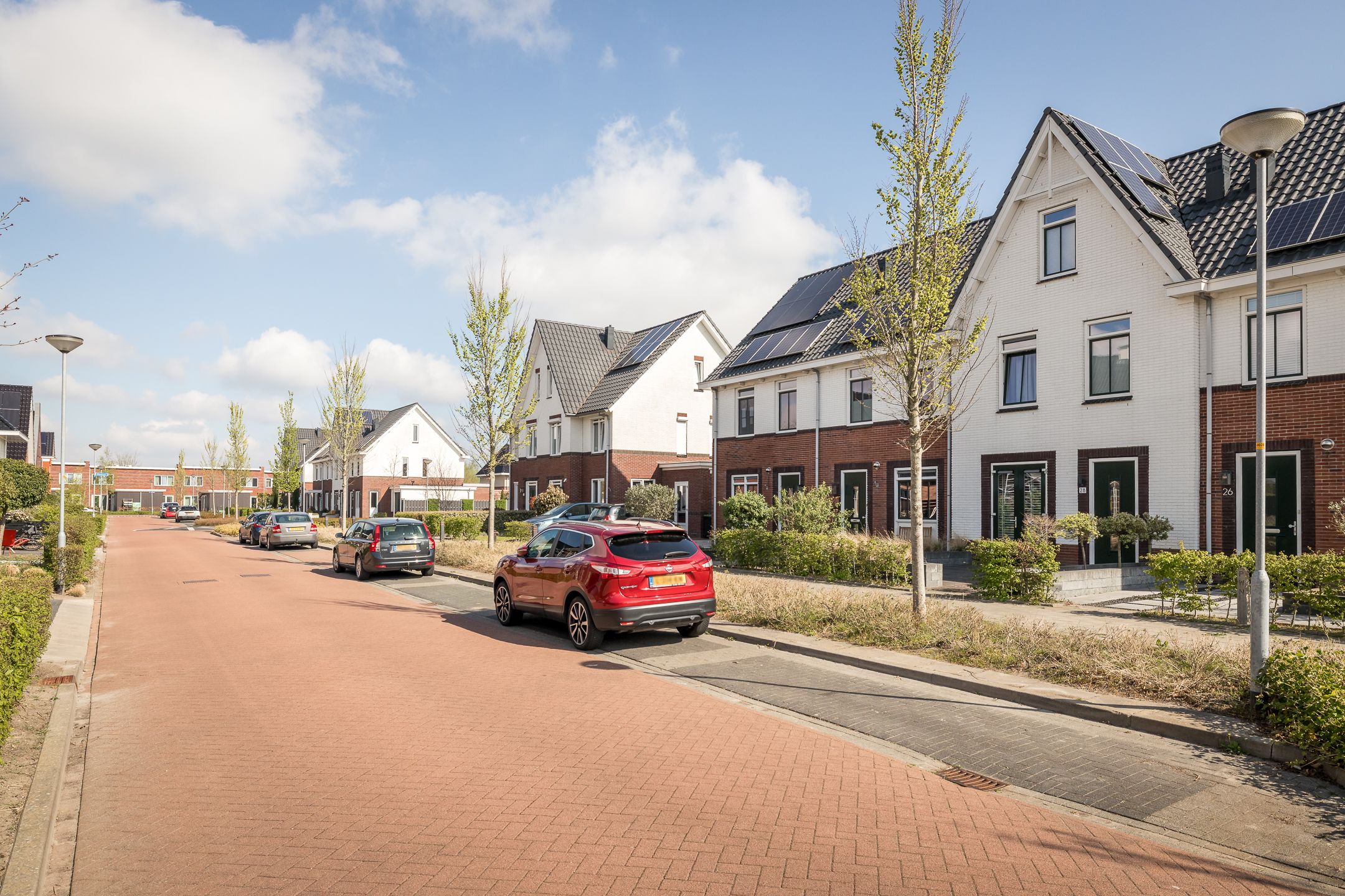 Foto 33 van Winterkoning 30