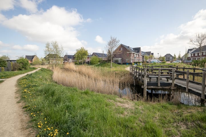 Foto 35 van Winterkoning 30