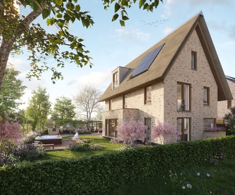 Droomweide | Fase 2 main image