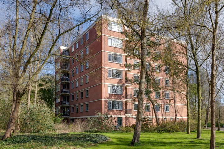 Ilperveldstraat 139