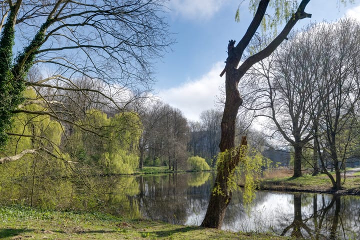 Foto 41 van Ilperveldstraat 139