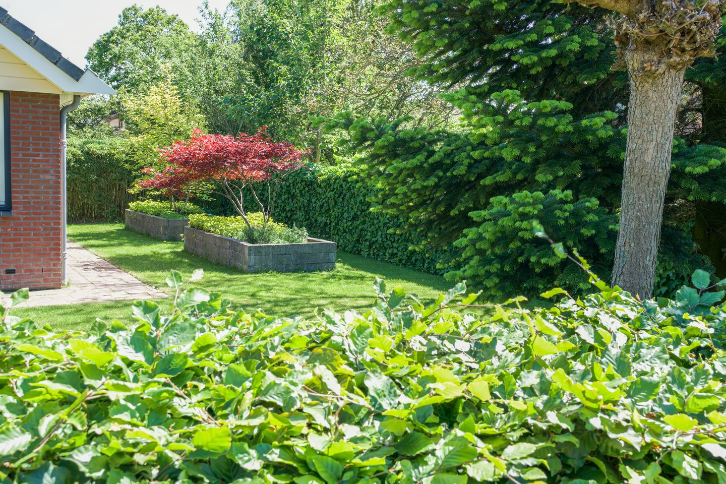 Foto 55 van Pagenlaan 33