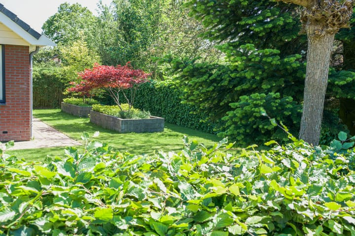 Foto 55 van Pagenlaan 33