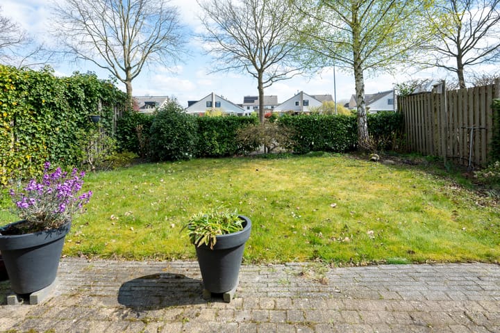 Foto 23 van Watersnip 12