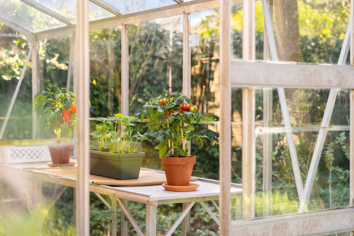 Foto 40 van Koninginneweg 9