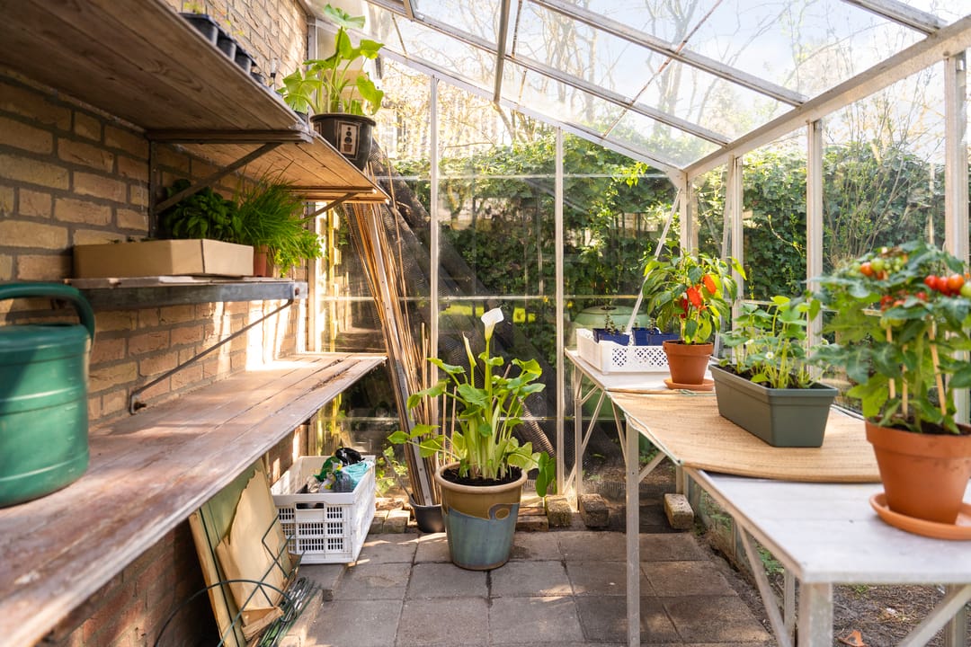 Foto 41 van Koninginneweg 9