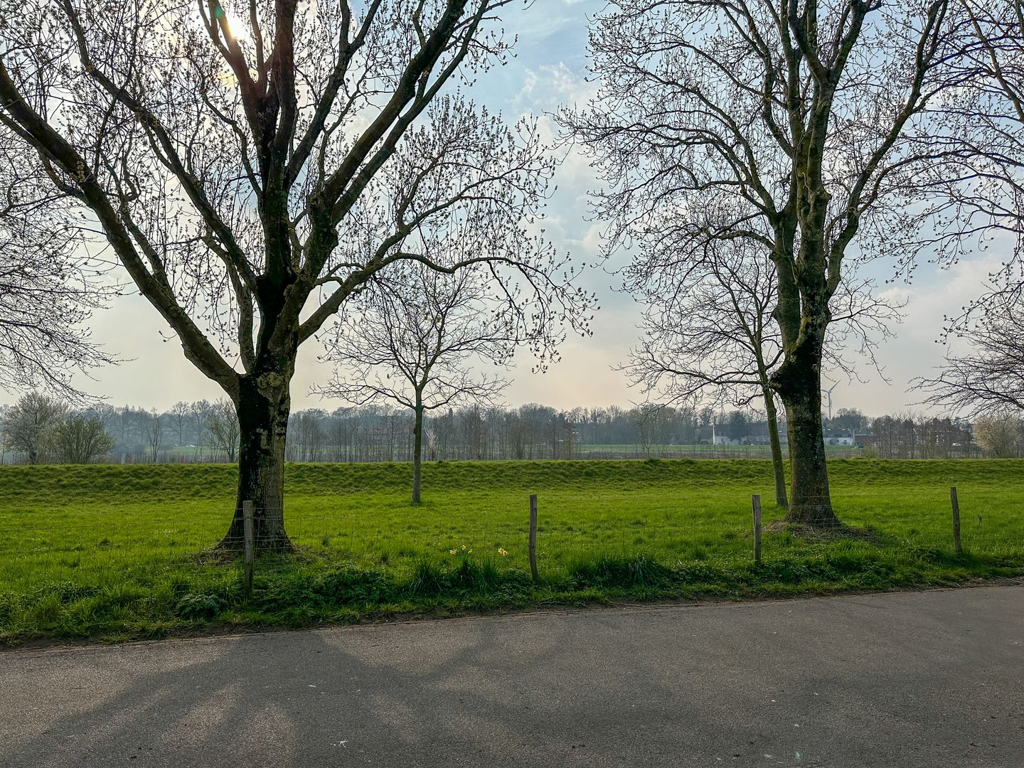 Foto 34 van Daalstraat 48