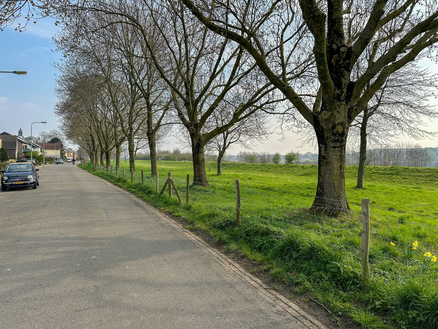 Foto 35 van Daalstraat 48