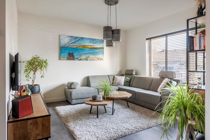 Foto 2 van Gitaar 30