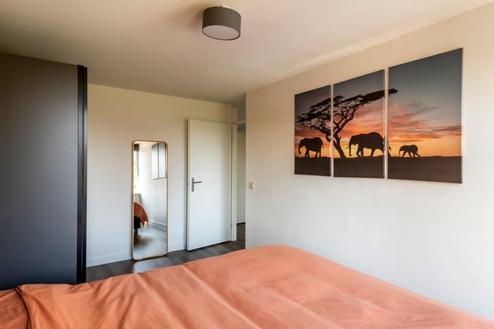 Foto 18 van Gitaar 30