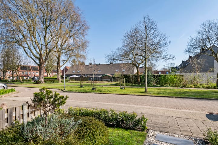 Foto 35 van Gitaar 30