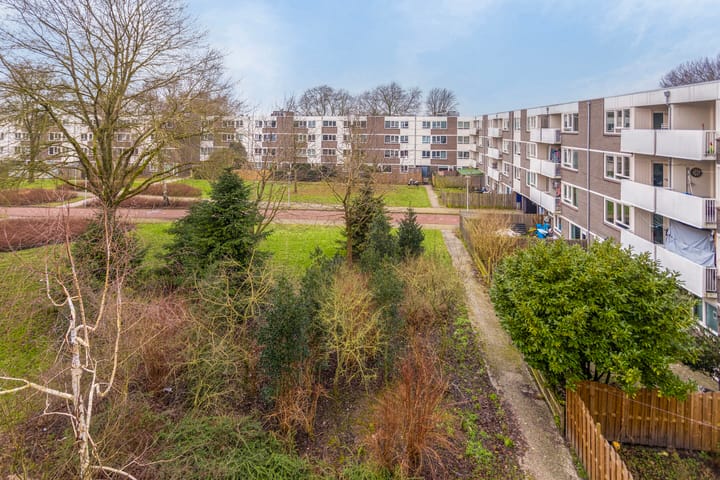 Foto 9 van Rhenenhof 31