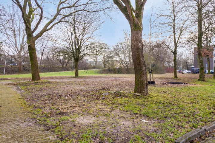 Foto 31 van Rhenenhof 31