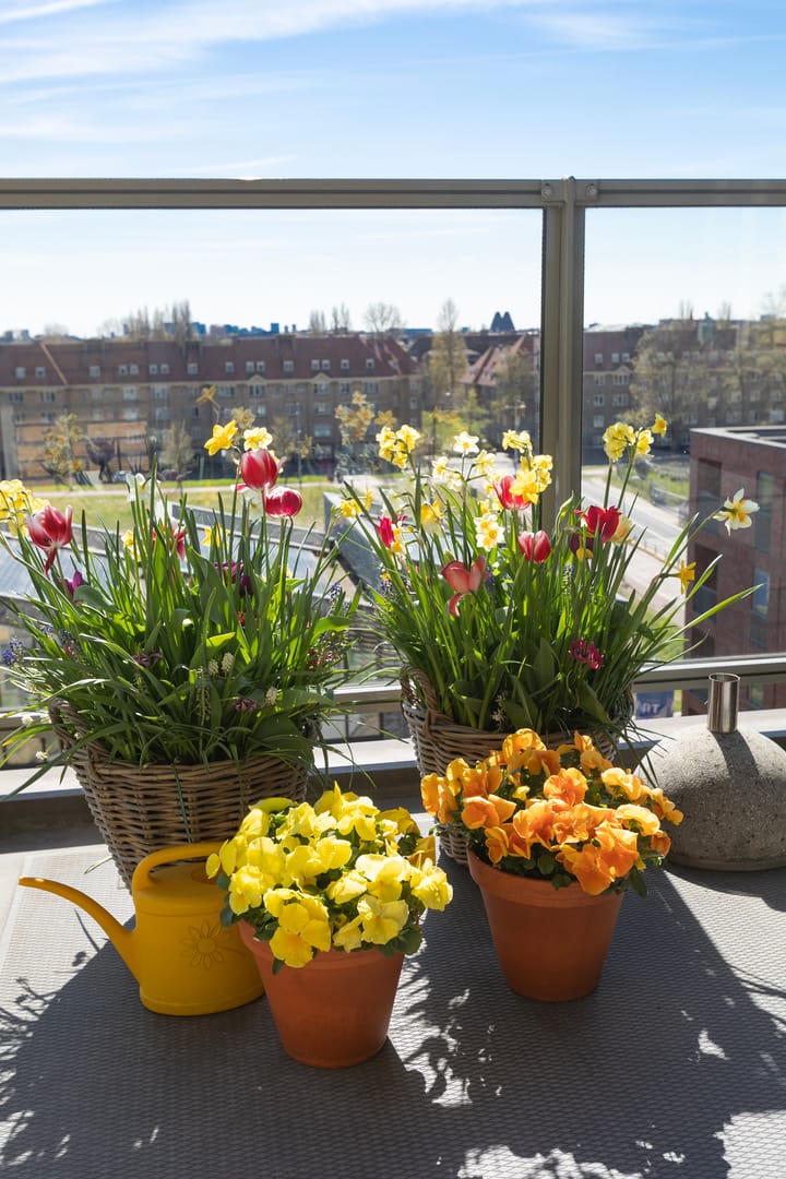 Foto 9 van Houthavenkade 98