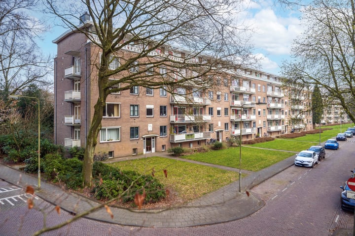 Lippe Biesterfeldstraat 9-1
