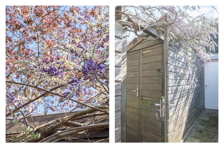 Foto 34 van Lambrecht van Dalelaan 14